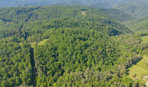 copper hill-12