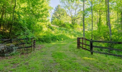 copper hill-47