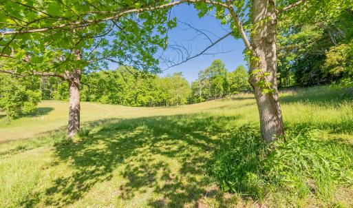 copper hill-80