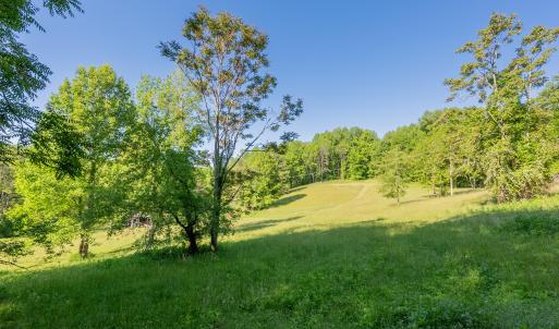 copper hill-85