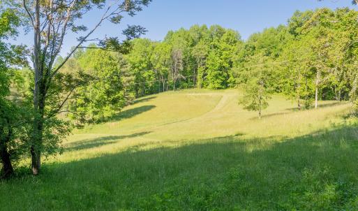 copper hill-86