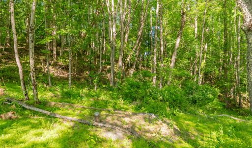 copper hill-105