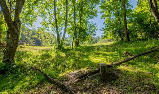 copper hill-106