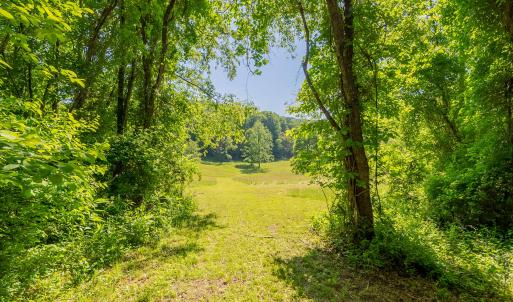 copper hill-129
