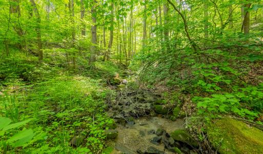copper hill-143