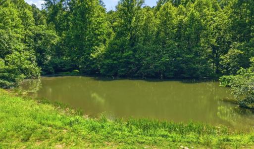 Photo #3 of JORDAN HOLLOW RD, STANLEY, VA 56.6 acres