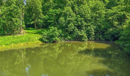 Photo #4 of JORDAN HOLLOW RD, STANLEY, VA 56.6 acres