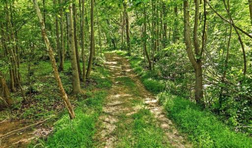Photo #6 of JORDAN HOLLOW RD, STANLEY, VA 56.6 acres