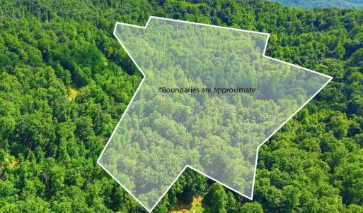 Photo #7 of JORDAN HOLLOW RD, STANLEY, VA 56.6 acres