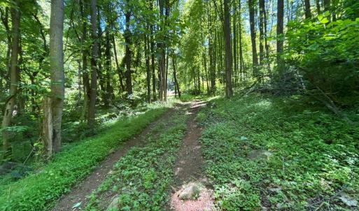 Photo #8 of JORDAN HOLLOW RD, STANLEY, VA 56.6 acres
