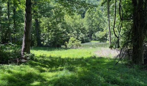 Photo #10 of JORDAN HOLLOW RD, STANLEY, VA 56.6 acres