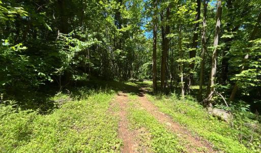 Photo #11 of JORDAN HOLLOW RD, STANLEY, VA 56.6 acres