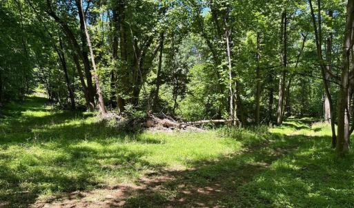 Photo #12 of JORDAN HOLLOW RD, STANLEY, VA 56.6 acres