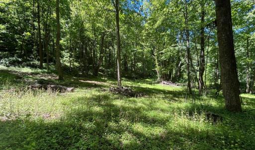 Photo #13 of JORDAN HOLLOW RD, STANLEY, VA 56.6 acres