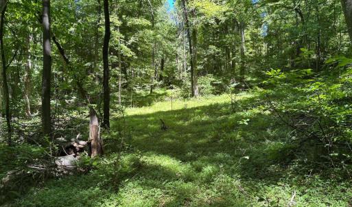 Photo #14 of JORDAN HOLLOW RD, STANLEY, VA 56.6 acres