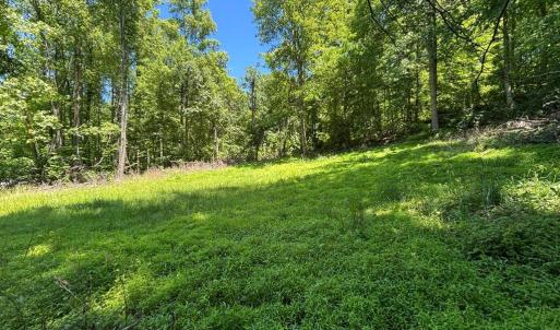 Photo #15 of JORDAN HOLLOW RD, STANLEY, VA 56.6 acres