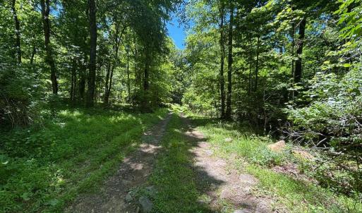 Photo #16 of JORDAN HOLLOW RD, STANLEY, VA 56.6 acres