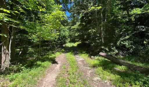 Photo #17 of JORDAN HOLLOW RD, STANLEY, VA 56.6 acres