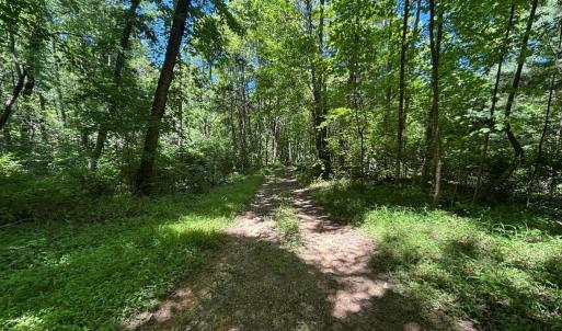 Photo #18 of JORDAN HOLLOW RD, STANLEY, VA 56.6 acres