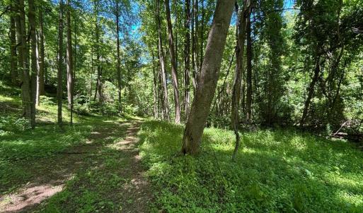 Photo #19 of JORDAN HOLLOW RD, STANLEY, VA 56.6 acres