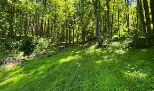 Photo #20 of JORDAN HOLLOW RD, STANLEY, VA 56.6 acres
