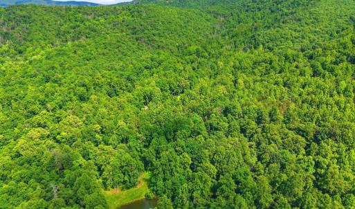 Photo #25 of JORDAN HOLLOW RD, STANLEY, VA 56.6 acres