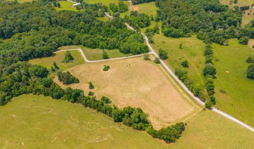 Photo #5 of 48 BALD EAGLE TRL, CULPEPER, VA 11.0 acres