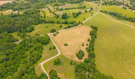 Photo #7 of 48 BALD EAGLE TRL, CULPEPER, VA 11.0 acres