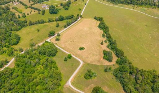 Photo #8 of 48 BALD EAGLE TRL, CULPEPER, VA 11.0 acres
