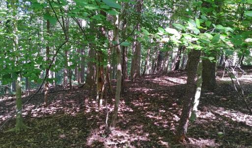 Lot 53 Ridgeway Court - Pic 2