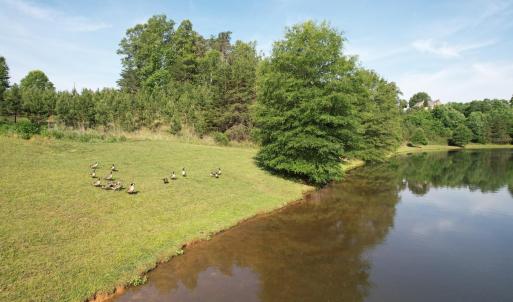 DJI_0581