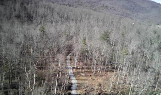 wooded