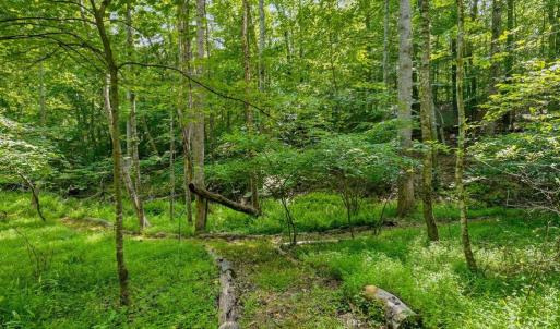 Photo #10 of CASTLE ROCK LN, CASTLETON, VA 25.1 acres