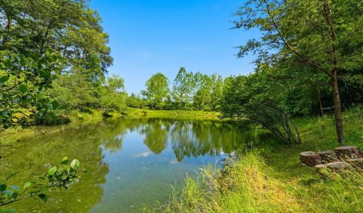 Photo #11 of CASTLE ROCK LN, CASTLETON, VA 25.1 acres