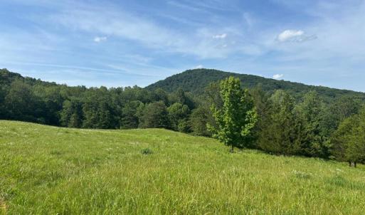 Photo #14 of CASTLE ROCK LN, CASTLETON, VA 25.1 acres