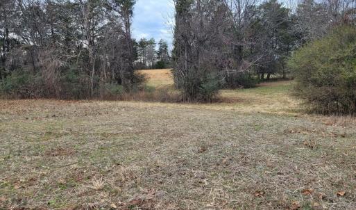 1st open field