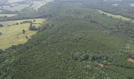 DJI_0092 (1)