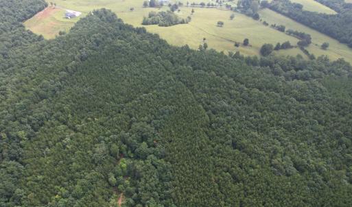 DJI_0098