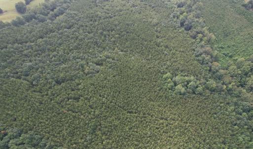 DJI_0099