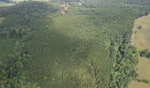 DJI_0101