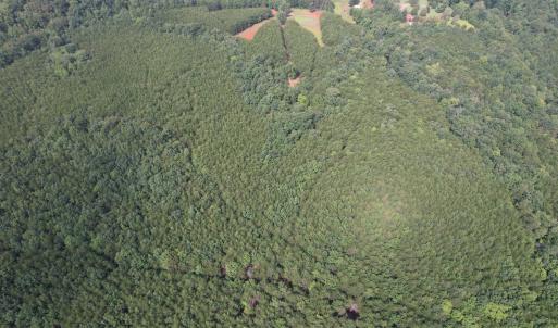 DJI_0104