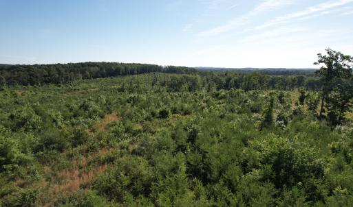 DJI_0533