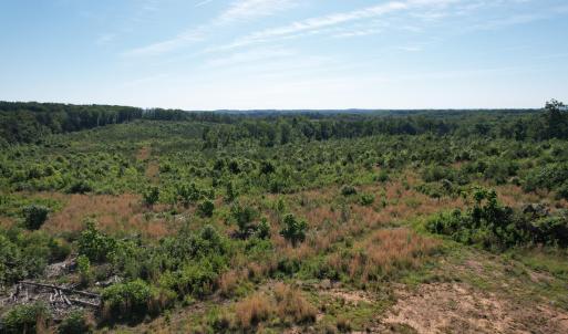 DJI_0534