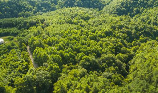 DJI_20260624175615_0985_D