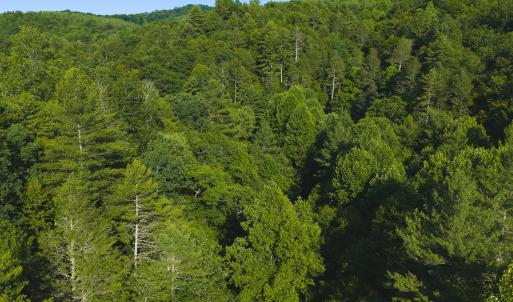 DJI_20260624181836_0002_D