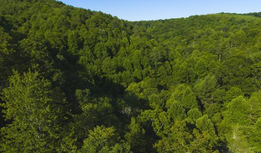 DJI_20260624181935_0005_D