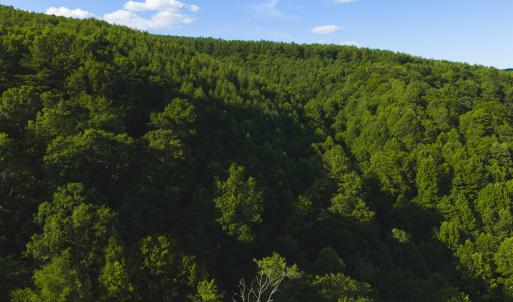 DJI_20260624181942_0006_D