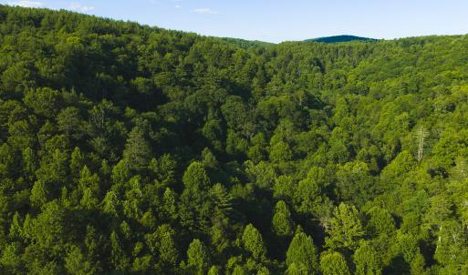 DJI_20260624182015_0007_D