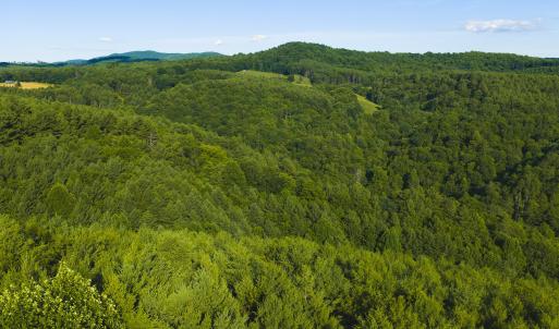 DJI_20260624182206_0013_D