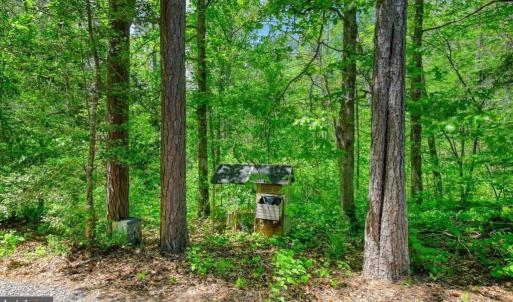 Photo #13 of 14584 CROSS COUNTY RD, MINERAL, VA 78.8 acres
